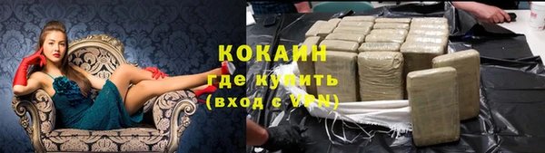 сатива Белокуриха