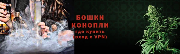 сатива Белокуриха