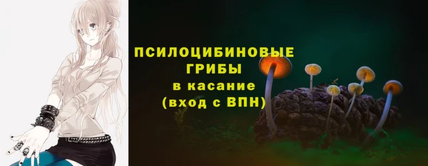 сатива Белокуриха