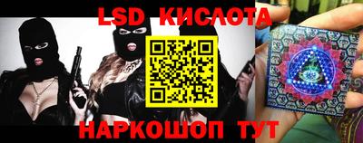 стафф Кингисепп