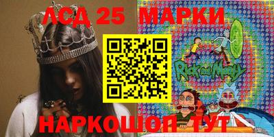 стафф Кингисепп