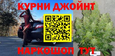 сатива Кимры