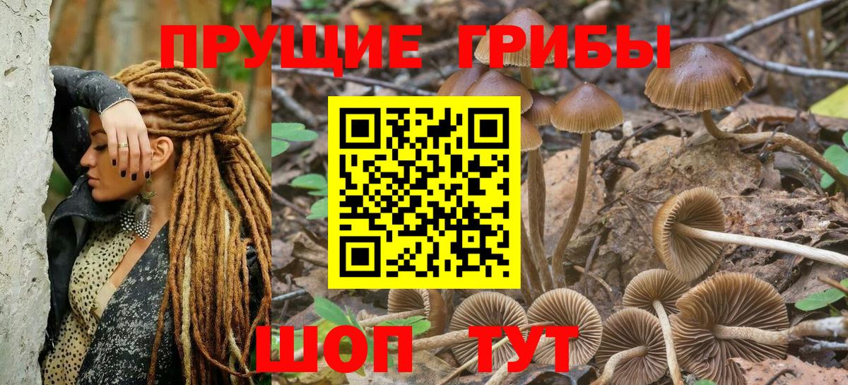Сегежа  Псилоцибиновые грибы мухоморы  Вход с VPN 